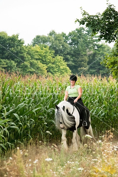 One woman riding a Gypsy Vanner horse.