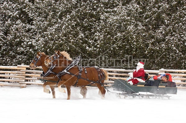 Santa Claus driving sleigh