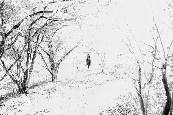 Woman horseback riding through magical forest with over hanging trees