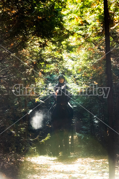 Woman horseback riding through a cedar forest in the autumn time