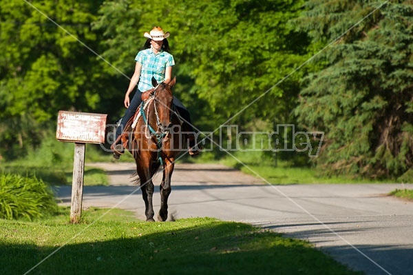 Woman trail riding on Standardbred mare