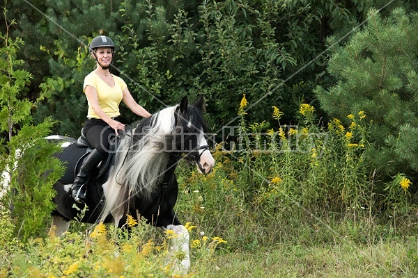 One woman riding a Gypsy Vanner horse.