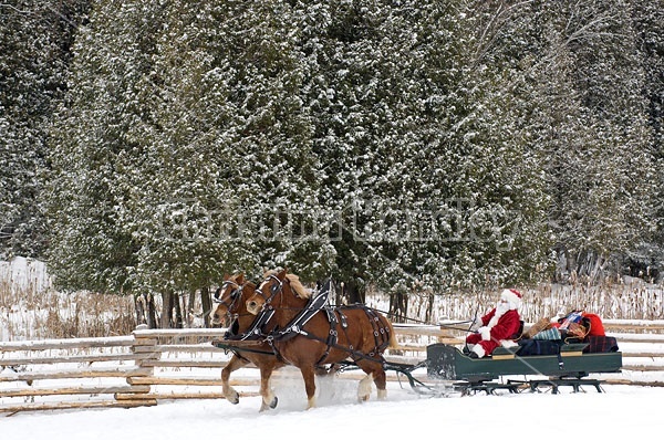 Santa Claus driving sleigh