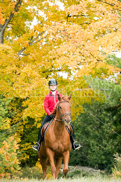 Young girl horseback riding through the autumn colored forest