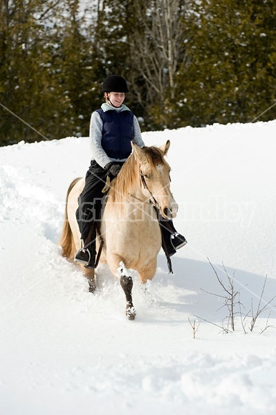 Horseback riding in the snow in Ontario Canada