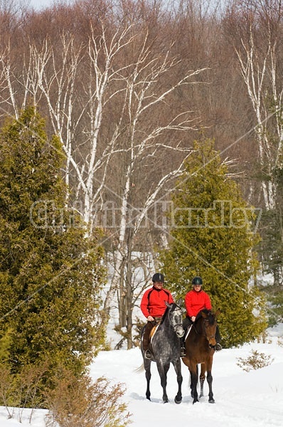 Horseback Riding in the Winter in Ontario Canada