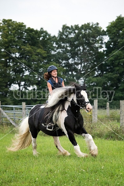 Young girl riding a Gypsy Vanner horse