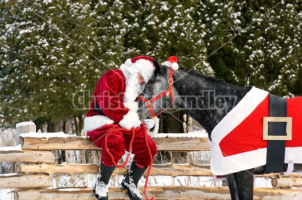 Santa Claus and his Horse