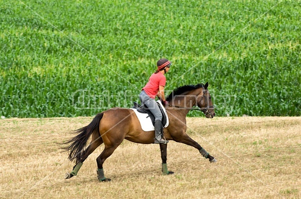 Woman horseback riding in field