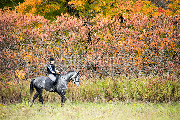 Young woman riding gray horse in the autumn colors