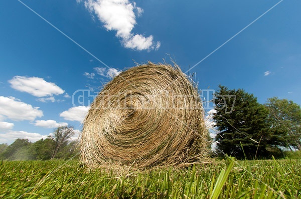 Round bale of hay sitting in field