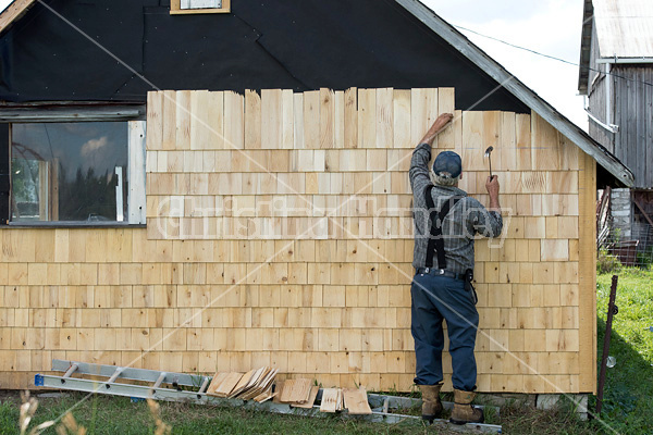 Man putting cedar shingles on the wall of a barn