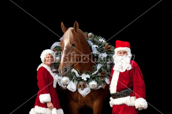 Santa Claus and Mrs Claus standing with a Belgian draft horse with a Christmas wreath over its head.