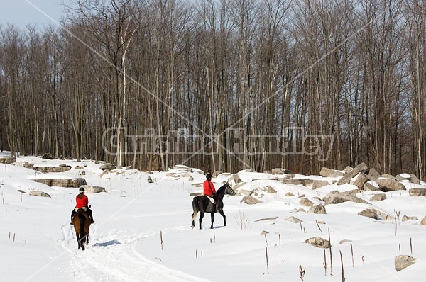 Horseback Riding in the Winter in Ontario Canada