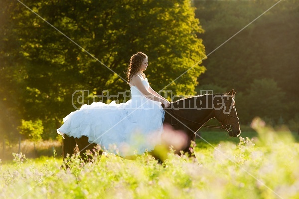 Woman riding horse wearing a wedding dress