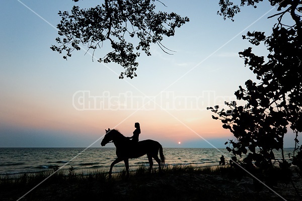 Silhouette photo of woman riding a horse bareback.