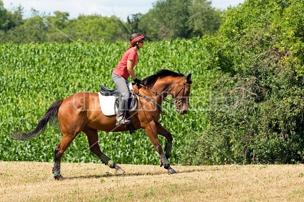 Woman horseback riding in field