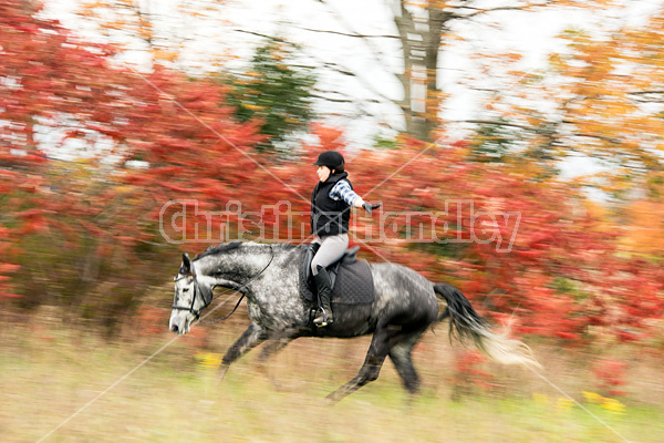 Woman riding gray horse