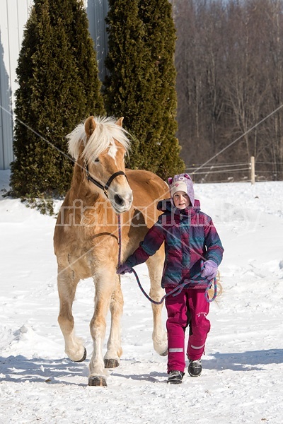 Young girl leading horse