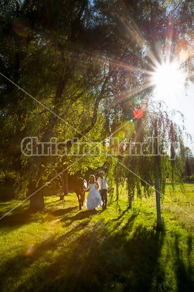 Bride and groom with horse