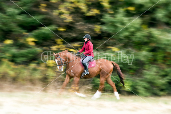 Woman riding chestnut Thoroughbred horse 