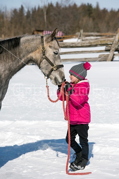 Young girl with gray horse