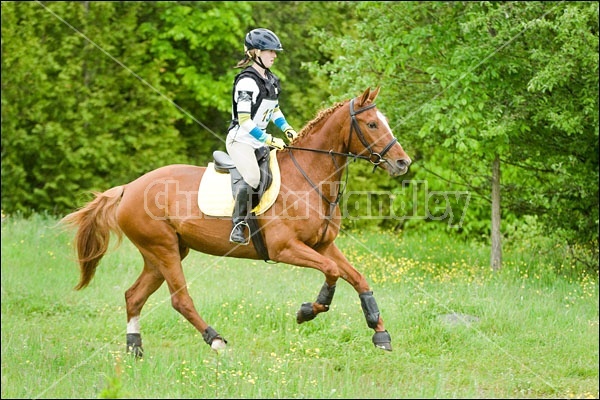 Killusty Horse Trials Fenelon Falls Ontario Canada