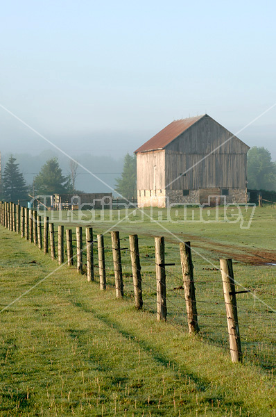 Barbed wire fence on cedar posts