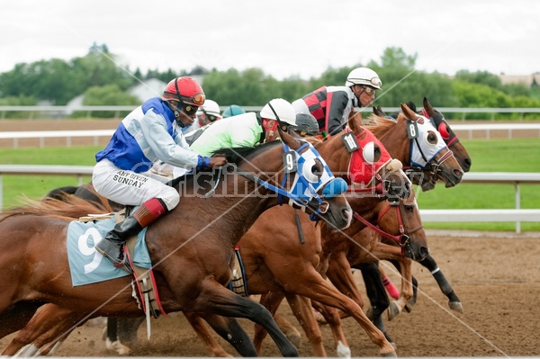 Quarter Horse Racing at Ajax Downs