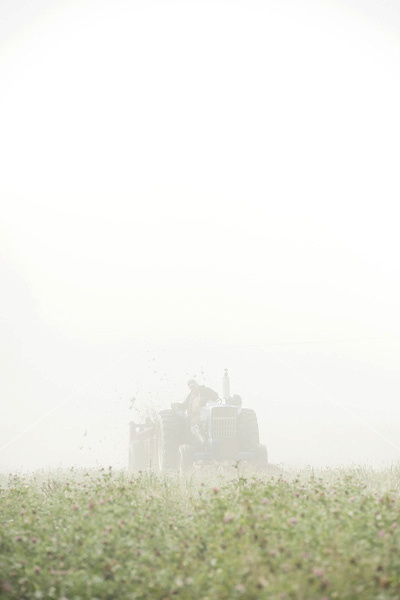 Spreading manure in the early morning fog