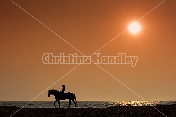 Young woman horseback riding along beach at sunset