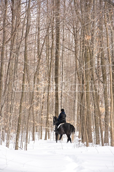 Woman riding Hanoverian mare in deep snow