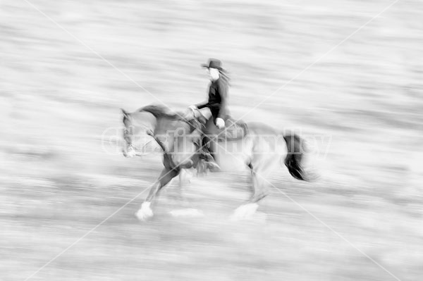 Young woman riding her American Paint horse mare