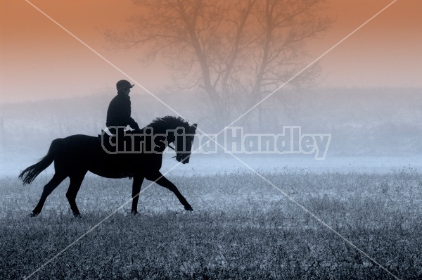 Horseback riding in the early morning fog