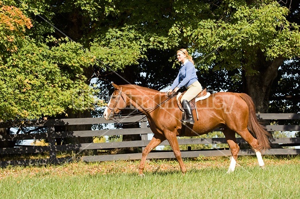 Young woman riding a chestnut horse. 