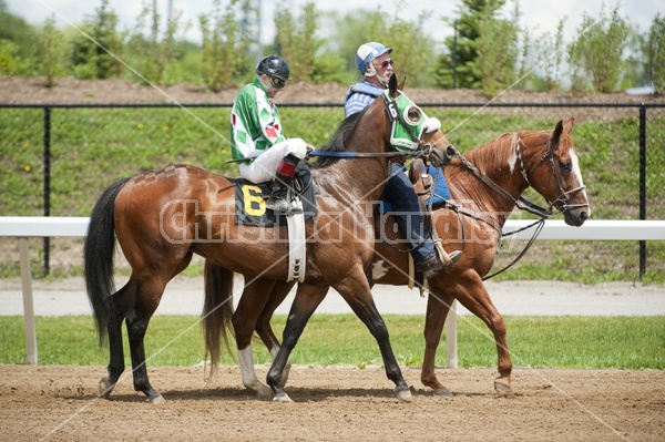 Quarter Horse Racing at Ajax Downs