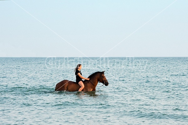 Young woman horseback riding in Lake Ontario