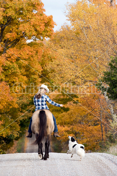 Young woman horseback riding through autumn colored scenery