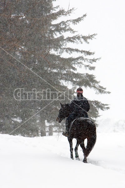 Woman horseback riding in the winter