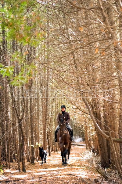 Woman horseback riding through a cedar forest in the autumn time