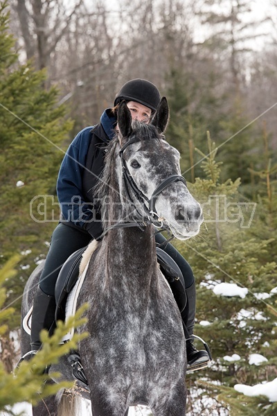 Woman riding Hanoverian mare through forest