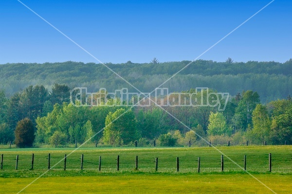 Countryside, fields in springtime.