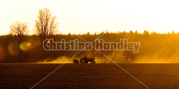 Farmer driving tractor pulling seed drill seeding oats