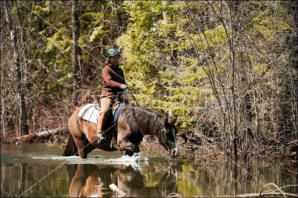 Riding Rocky Mountain Horses