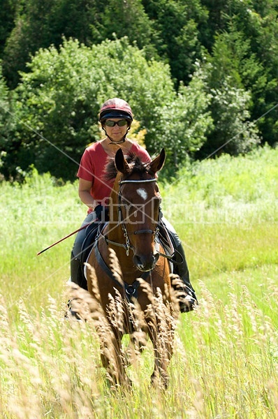 Woman horseback riding in field