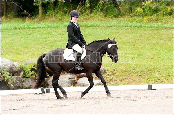 Lanes End Horse Trials