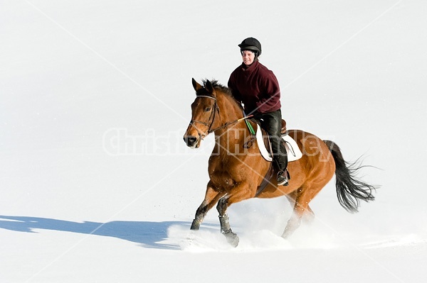 Woman riding bay horse through the deep snow