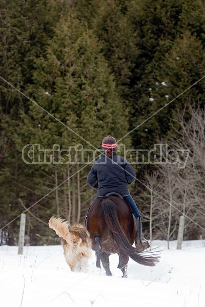 Woman horseback riding in the winter