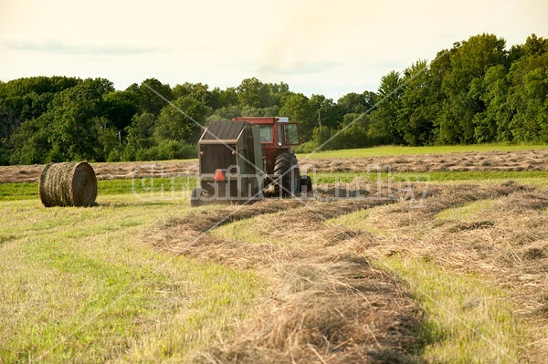 Farmer round baling hay