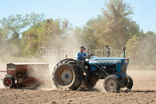 Farmer driving tractor and seed drill seeding oats